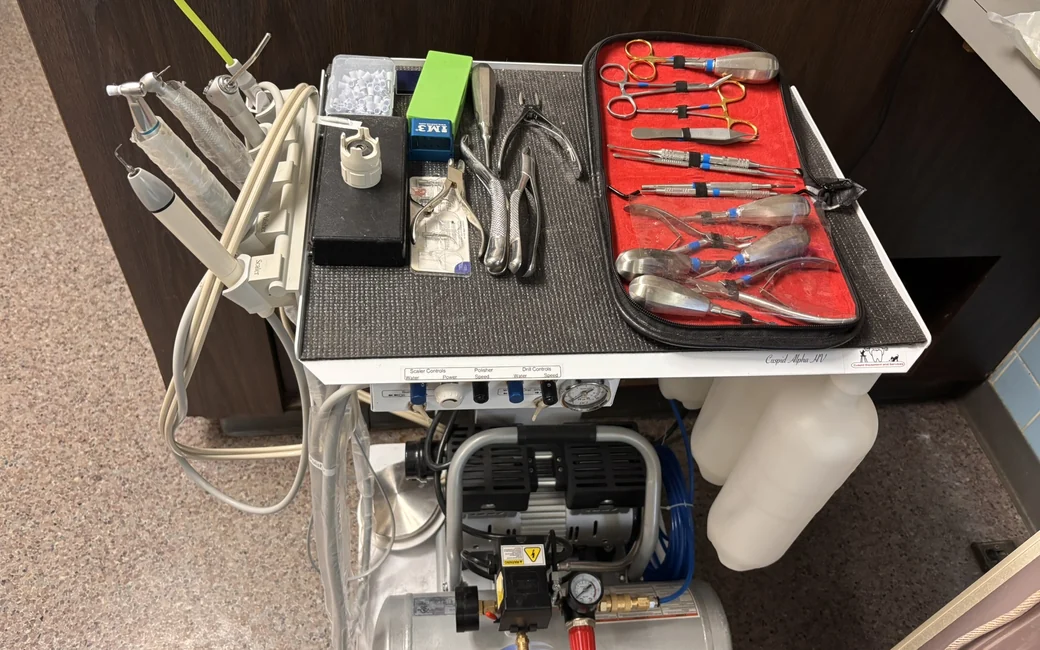 The dental cart at Blue Cross Dog and Cat Hospital in Paterson, with scaler, polisher, drill handpieces, and extraction instruments laid out